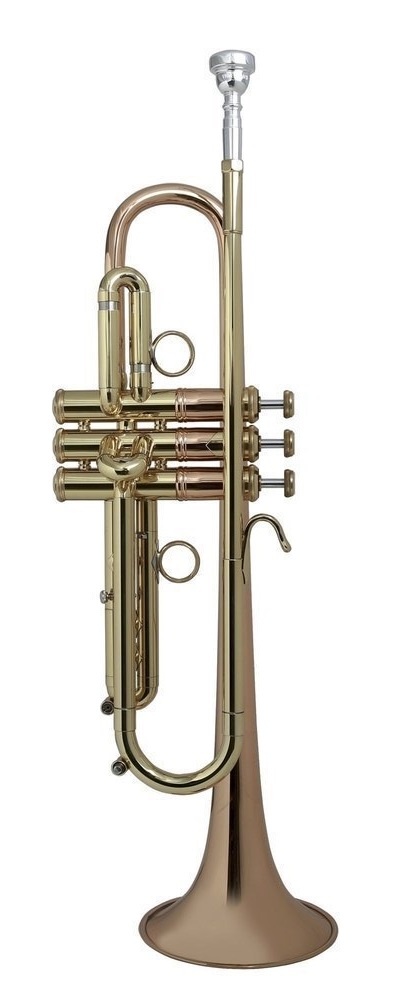 Bach, Vincent - LT190 - 1B - Blechblasinstrumente - Trompeten mit Perinet-Ventilen | MUSIK BERTRAM Deutschland Freiburg